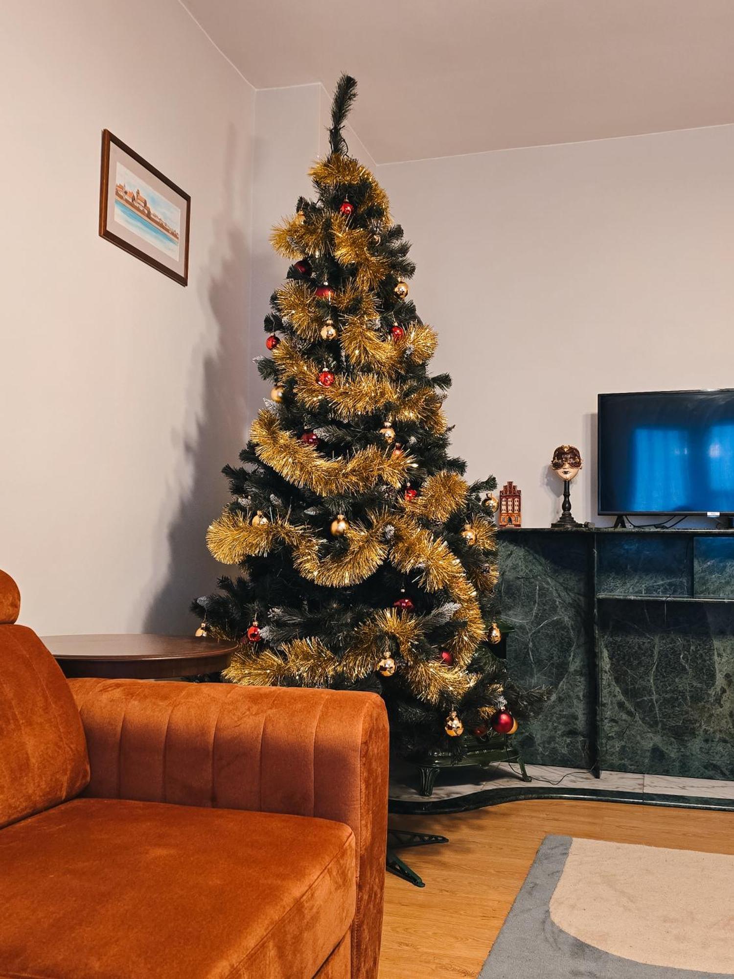 Szymanowskiego 15 Apartment Torun